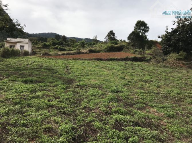 1800m2 đất có 200m xây dựng, 32m mặt tiền cao tốc view cực đẹp ngay trạm thu phí - 1