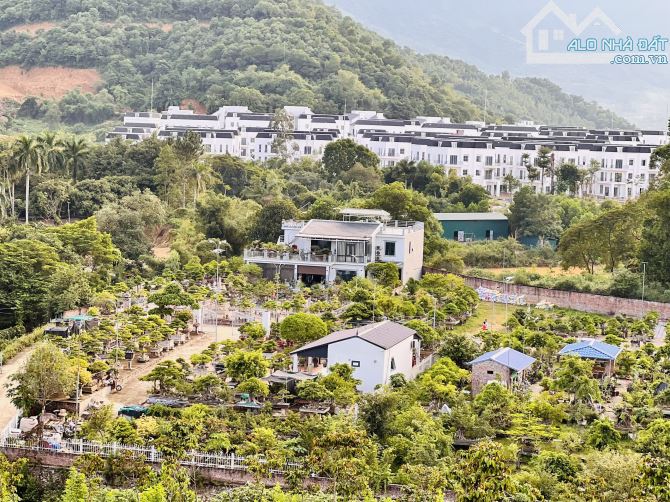 1900M2 ĐẸP NHẤT NHÌ THUNG LŨNG NGỌC LINH GIÁ TỐT - 1