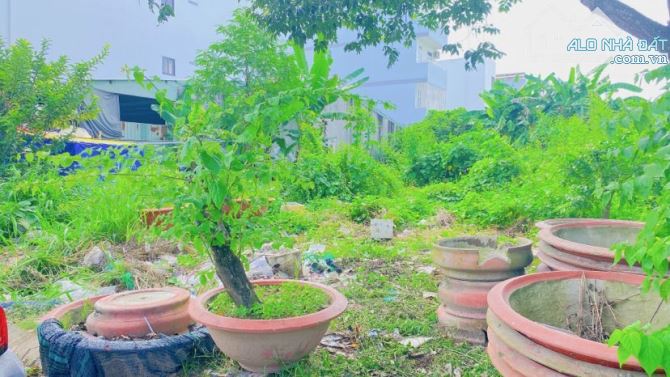 Bán 2 nền đất mặt tiền đường Bùi Quang Trinh - 1