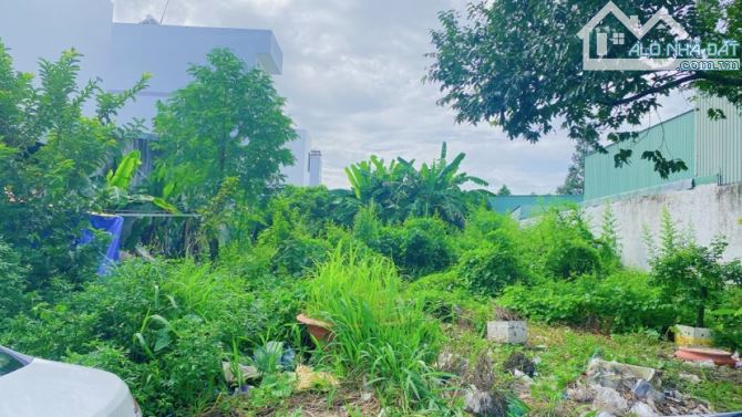 Bán 2 nền đất mặt tiền đường Bùi Quang Trinh - 2