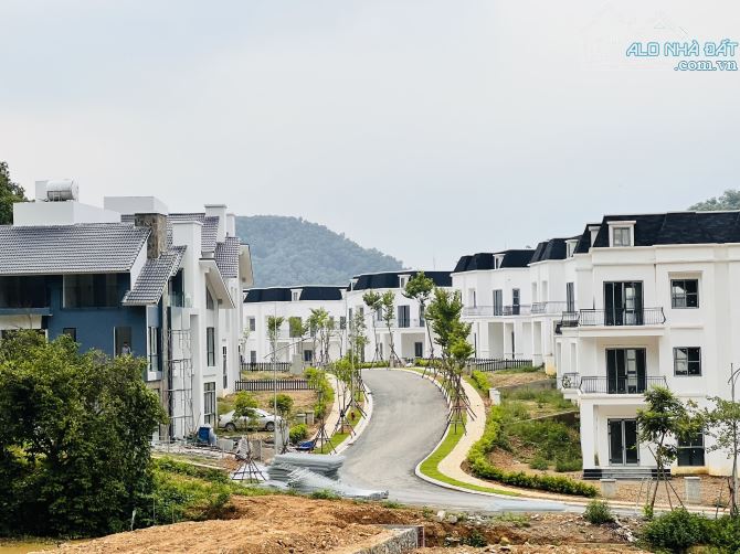 1900M2 ĐẸP NHẤT NHÌ THUNG LŨNG NGỌC LINH GIÁ TỐT - 6