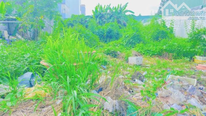 Bán 2 nền đất mặt tiền đường Bùi Quang Trinh - 6