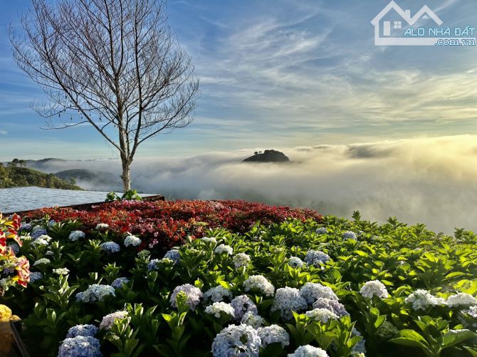 Bán biệt thự nghỉ dưỡng Thành phố Bảo Lộc tuyệt đẹp view săn mây toàn thành phố - 10