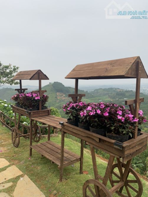 Bán biệt thự nghỉ dưỡng Thành phố Bảo Lộc tuyệt đẹp view săn mây toàn thành phố - 2