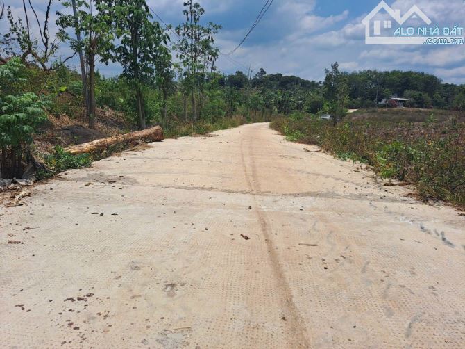 BÁN ĐẤT  THỊ TRẤN LONG GIAO, CẨM MỸ ĐỒNG NAI, DT 1000M2 CHI 650TR - 2