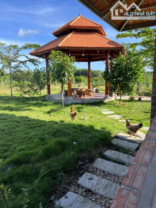 Nhà vườn nghĩ dưỡng - xuyên mộc - đã có đầy đủ tiện nghi chỉ việc dọn vào ở - 11