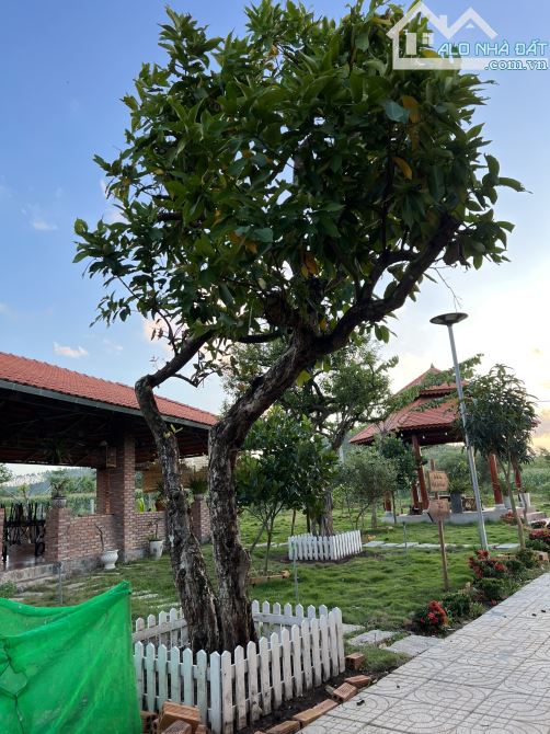 Nhà vườn nghĩ dưỡng - xuyên mộc - đã có đầy đủ tiện nghi chỉ việc dọn vào ở - 1