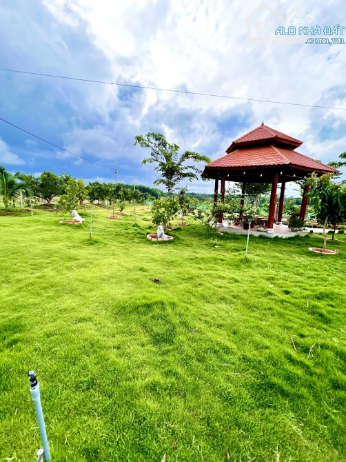 Nhà vườn nghĩ dưỡng - xuyên mộc - đã có đầy đủ tiện nghi chỉ việc dọn vào ở - 15