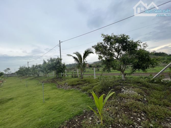 Nhà vườn nghĩ dưỡng - xuyên mộc - đã có đầy đủ tiện nghi chỉ việc dọn vào ở - 9