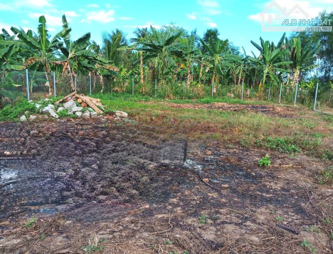 "Đất Diên Xuân, Diên Khánh cách đường Tỉnh Lộ 8 chỉ 50 mét. Tỉnh Lộ 8 là đường huyết mạch - 2