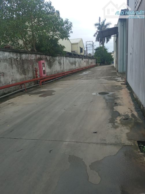 KHO, XƯỞNG CHO THUÊ TẠI QUANG MINH. MÊ LINH. HÀ NỘI - 1
