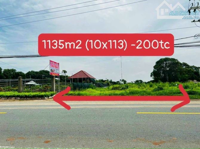 1135m2- SIÊU RẺ RA mặt tiền Ql55 - ngay cổng chính Khu CN Đất Đỏ - B