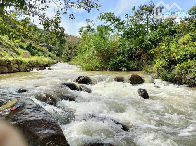 Bán vườn sầu riêng 14.000m² có 300m suối đẹp, 300m mặt tiền đường sẵn nhà có điện và wifi - 3