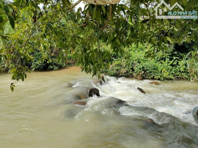 Bán vườn sầu riêng 14.000m² có 300m suối đẹp, 300m mặt tiền đường sẵn nhà có điện và wifi - 7