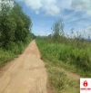 Bán 6.6 mẫu đất Phú Thanh, Huyện Tân Phú chưa qua đầu tư, đường bê tông