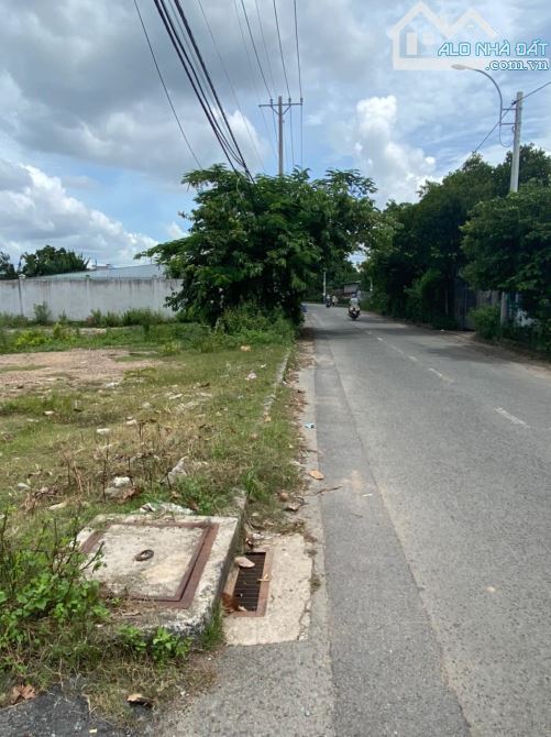 Bán nhanh 3500m đất Xuân Thới Sơn, ngay bên Mt Lê Thị Kim, Hocmon - 1