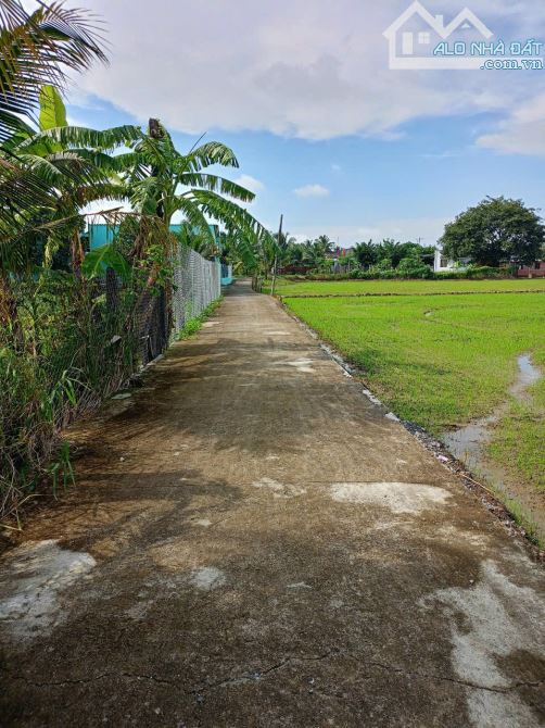 Đất hẻm đường Nguyễn Văn Nhâm, xã Nhơn Thạnh Trung, TP Tân An - 1