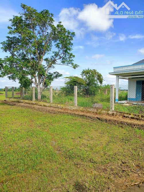 Đất hẻm đường Nguyễn Văn Nhâm, xã Nhơn Thạnh Trung, TP Tân An - 2
