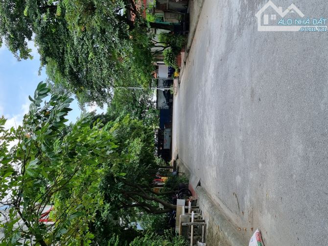 CHỦ CẦN BÁN GẤP LÔ ĐẤT PHÚ ĐIỀN  CẠCH CHUNG  CƯ CAO  NGUYÊN TP TỪ SƠN DT100M2 MT5M - 7xTY - 3