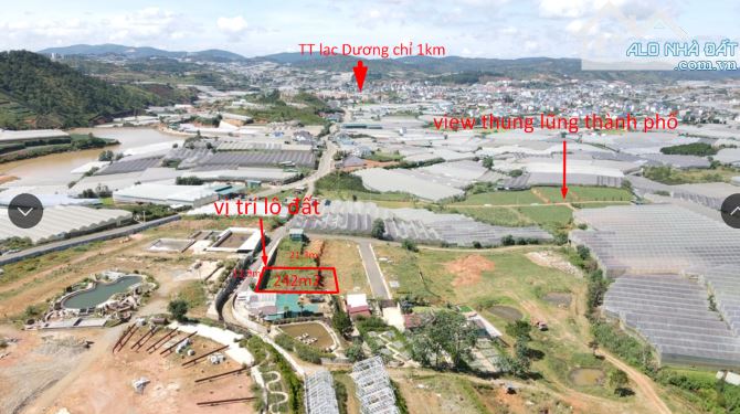 cần bán lô đất thị trấn lạc dương giá đầu tư xây biệt thự nghỉ dưỡng view đẹp
