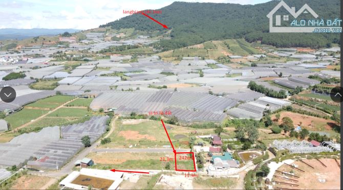 cần bán lô đất thị trấn lạc dương giá đầu tư xây biệt thự nghỉ dưỡng view đẹp - 1