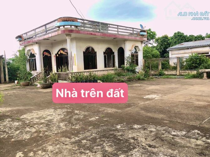 ✨ SIÊU PHẨM: View Hồ Việt Đức 4, kế bên Nhà hàng & Cà phê sân Vườn View CỰC CHILL - 3.5 TỶ - 4