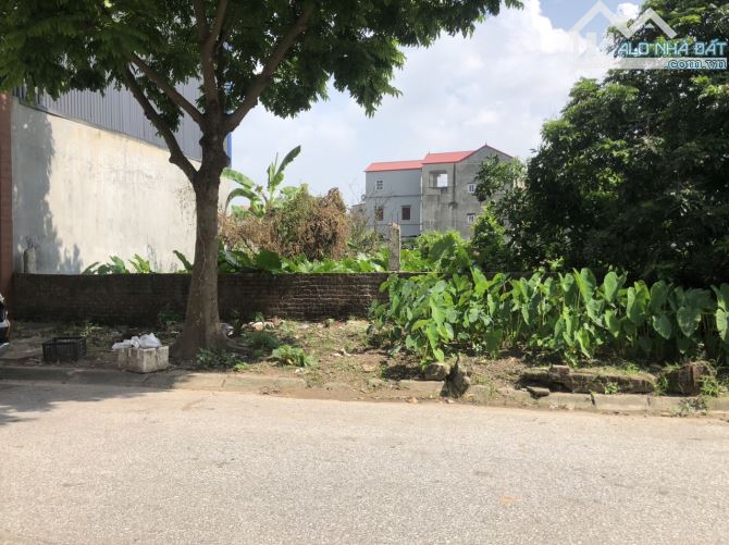 Bán đất đấu giá Cự Khối cực đẹp, ô tô tránh, vỉa hè, 290 m2, mặt tiền 15 m, giá chỉ 21 tỷ. - 2