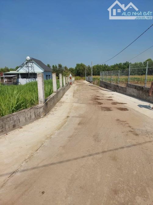 BÁN 2318M2 FUL HỒNG TAII XUÂN ĐÔNG CẨM MỸ ĐỒNG NAI, KHU DÂN CƯ, ĐƯỜNG BÊ TÔNG, 900TR/SAO