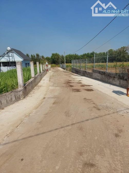 BÁN 2318M2 FUL HỒNG TAII XUÂN ĐÔNG CẨM MỸ ĐỒNG NAI, KHU DÂN CƯ, ĐƯỜNG BÊ TÔNG, 900TR/SAO - 3