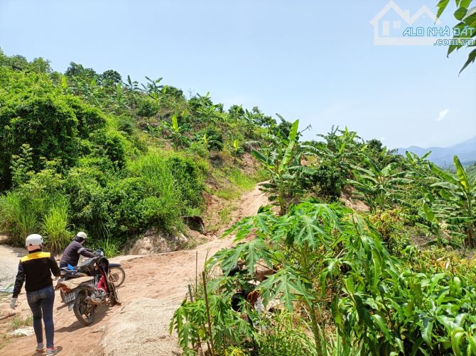 "Bán đất có vườn cây Suối Tiên-Diên Khánh - khoảng 10 Héc ta, 5,5t - 2