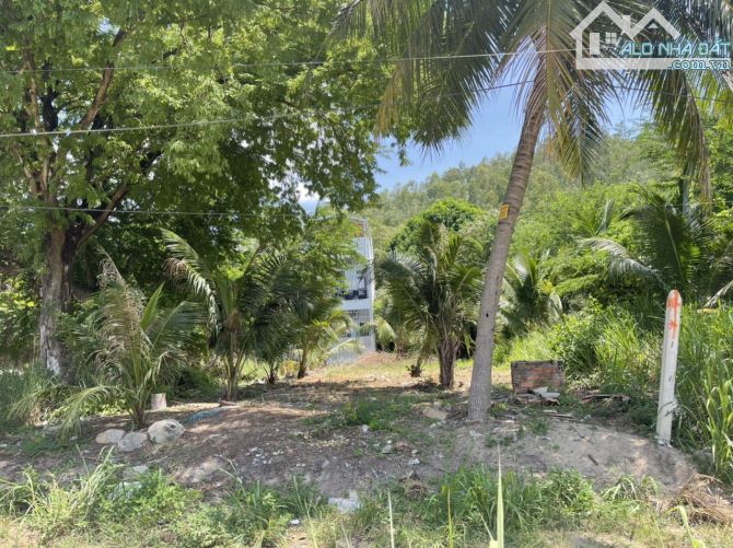 Bán Đất Biệt Thự Full Thổ- Mặt Sông Cái Ngay I-resort Nha Trang - 3
