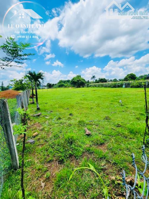 BÁN LÔ ĐẤT NGỘP SÁT KCN SONADEZI, MT ĐƯỜNG NHỰA, CÁCH SÂN GOLF + ĐỒI CỪU CHỈ 10 PHÚT - 1