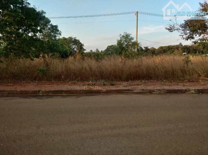 BÁN GẤP LÔ ĐẤT BIỆT THỰ ĐẤT NAM 300M2 TC GIÁ 2,3 TỶ - 7