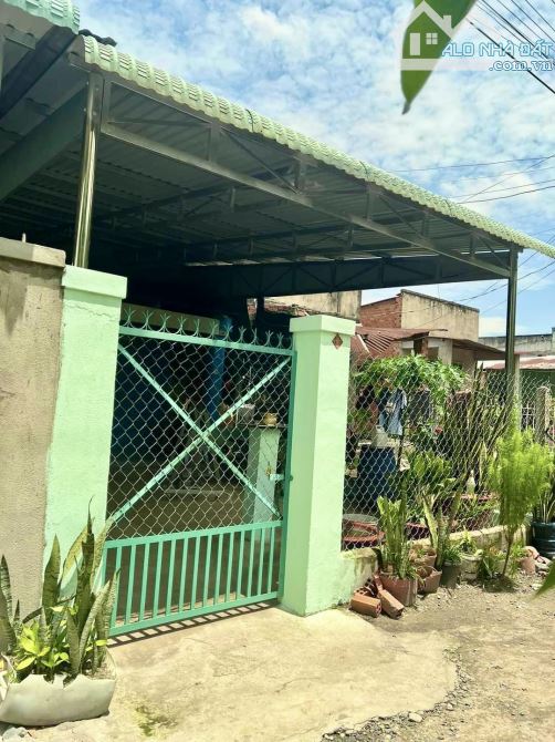 ✨ NHÀ TÂY NINH - Đẹp RẺ dành cho ACE Tài Chính Ít. Ngang 5 dài 32m (FULL Thổ Cư) - 520 Tr - 1