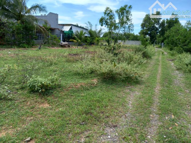 Đại Hạ Giá-Nhiều đất Sào-Gần Hồ Quang Cảnh,gần DT715-Thiện Nghiệp-Phan Thiết