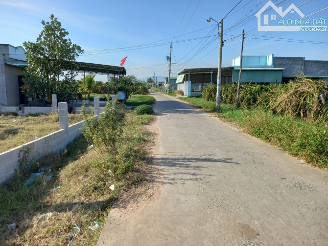 Đại Hạ Giá nhiều đất Sào-Xã Tuyên Quang(Hàm Mỹ cũ)-Lâm Đồng - 1