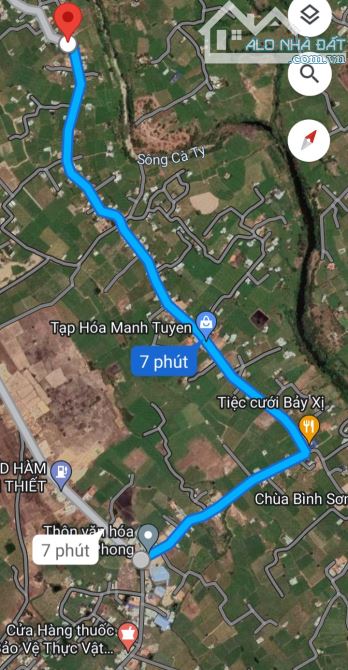 Cần tiền bán nhanh-Đất Phú Phong-Hàm Mỹ-Hàm Thuận Nam-DT 4 sào CLN - 5