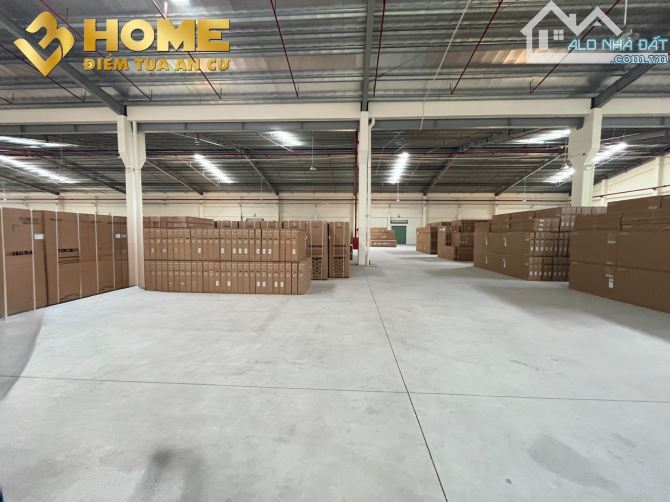CHO THUÊ KHO XƯỞNG MỚI TINH MẶT ĐƯỜNG KHU VỰC AN LÃO 11.000M2 PCCC TỰ ĐỘNG