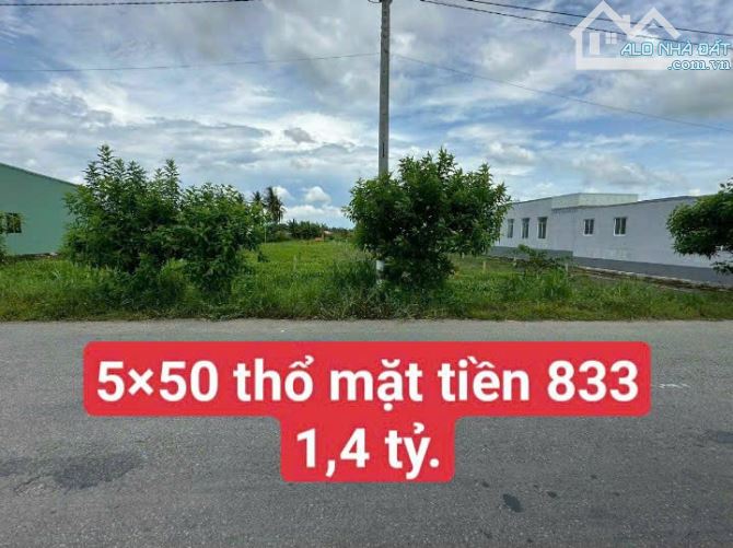 5× 50 thổ cư mặt tiền 833 sát thị trân tân trụ long An (1,55tỷ) ngộp - 3