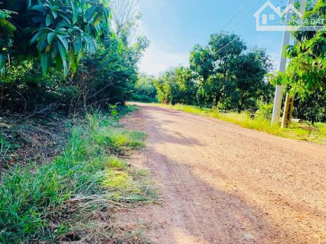 BÁN VƯỜN XOÀI  GẦN QUỐC LỘ 20 DT:3603M2  KHU DÂN CƯ CÁCH QL20 2KM CHỈ 1TY8 - 1