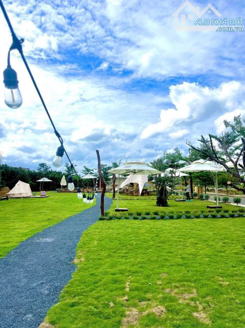 Bán ngay lô đất sổ riêng giá rẻ, gần trạm thu phí Bửu Long - 3