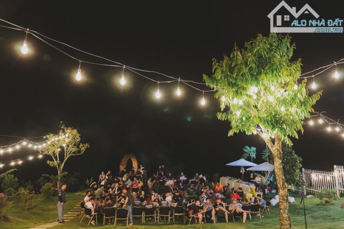 Bán farmstay đẹp nhất Hồ Ngọc cách trung tâm Bảo Lộc 15p di chuyển - 4
