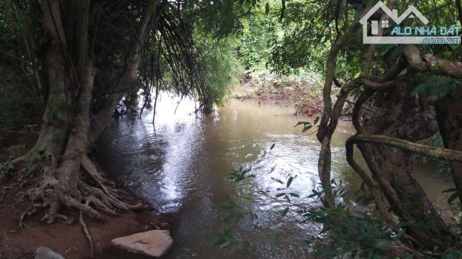 Đất 1,75ha View Sông, đường 2 ô tô, cách TP.HCM chưa tới 1,5h. - 5