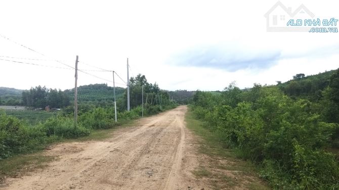 Đất 1,75ha View Sông, đường 2 ô tô, cách TP.HCM chưa tới 1,5h. - 7