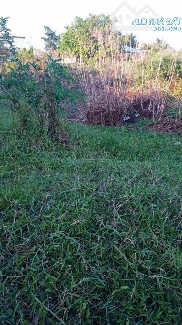 Cần bán đất mặt tiền đường hẻm dal kien thị nhẫn thuộc phường 7 TP Trà Vinh - 2