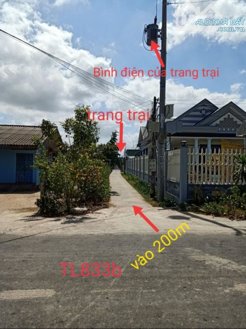 12.000m2 lúa ( trang trại phòng trọ)Tân trụ Long An ( giá 9 tỷ) sát nhựa  giá ngộp - 2