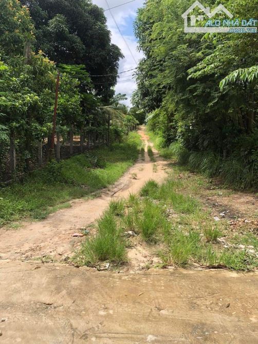 Bán Đất khu bàn cờ Nghĩa Phú, Cam Nghĩa, Cam Ranh, Khánh Hòa. - 4