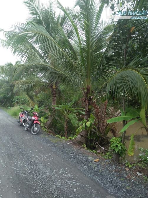 [LONG AN] bán 1,5 ha đất – X.thạnh lợi – H.bến lức - giá 13 tỷ. - 1