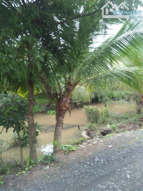 [LONG AN] bán 1,5 ha đất – X.thạnh lợi – H.bến lức - giá 13 tỷ. - 2