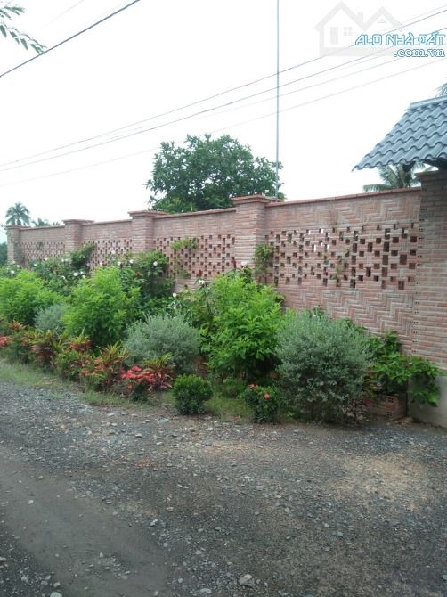 [LONG AN] bán 1,5 ha đất – X.thạnh lợi – H.bến lức - giá 13 tỷ. - 3
